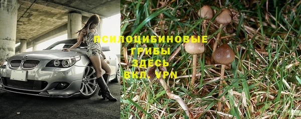 дмт Алексин