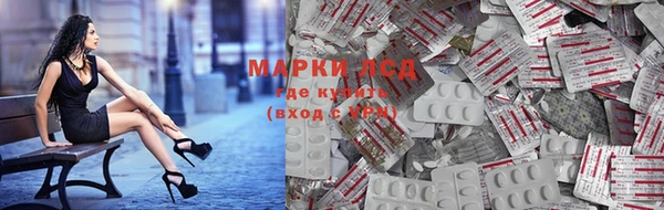 PSILOCYBIN Алзамай