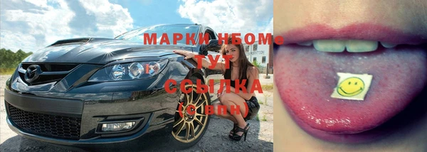 PSILOCYBIN Алзамай