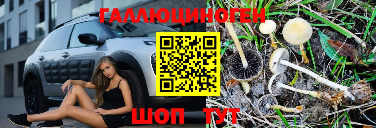Псилоцибиновые грибы мицелий Ступино